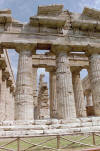 Paestum - Temple of Poseidon: close up of columns