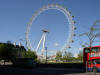 The London Eye (800 pixels wide photo)